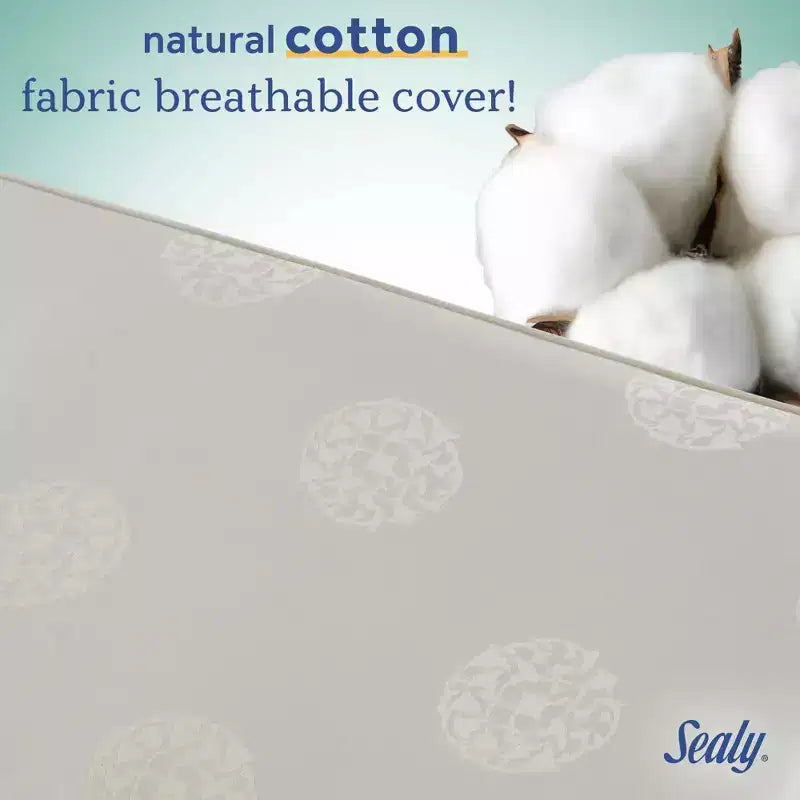 Colchón de cuna y niño pequeño de 2 etapas Sealy Cotton Cozy Rest: Hipoalergénico, funda impermeable, firme, 5.5" de grosor