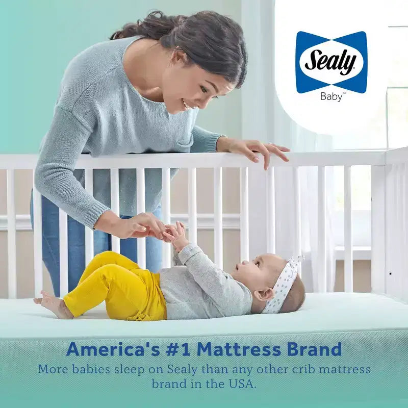 Colchón de cuna y niño pequeño de 2 etapas Sealy Cotton Cozy Rest: Hipoalergénico, funda impermeable, firme, 5.5" de grosor