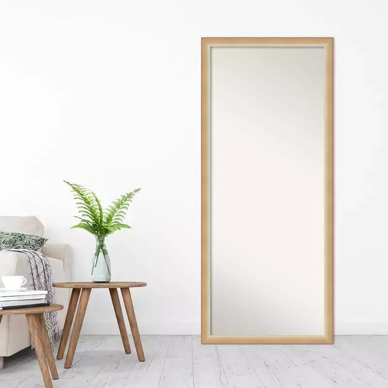 Espejo de pie/apoyar de cuerpo entero enmarcado de Eva Ambre, 27" x 63", dorado - Amanti Art: Diseño rectangular moderno de poliestireno