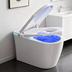 Dyonery smart toilet, built-in bidet, warm air drying, automatic lid opening, wireless remote control