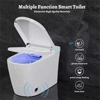 Dyonery smart toilet, built-in bidet, warm air drying, automatic lid opening, wireless remote control