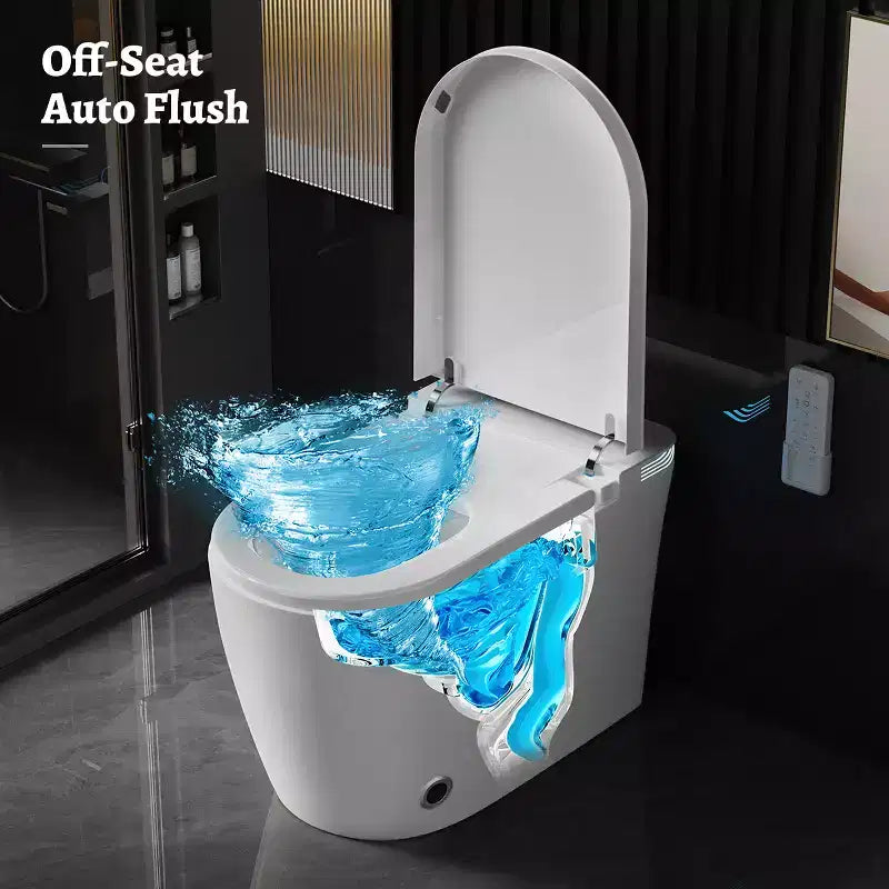 Dyonery smart toilet, built-in bidet, warm air drying, automatic lid opening, wireless remote control