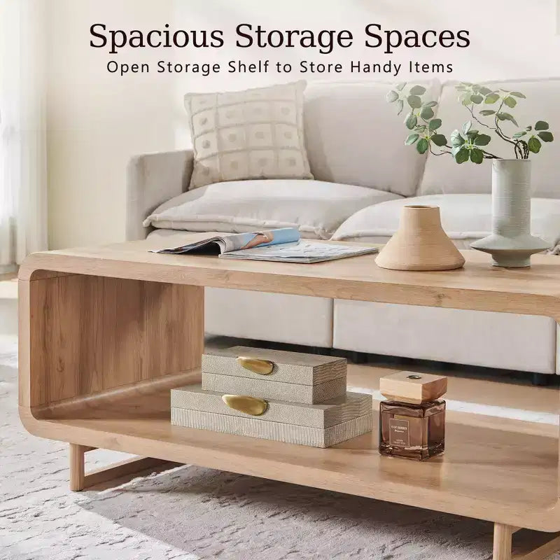 Mesa de centro de 48, mesa de centro moderna con estante de almacenamiento de 2 niveles, mesa rectangular de madera para sala de estar con madera gruesa para sala de estar