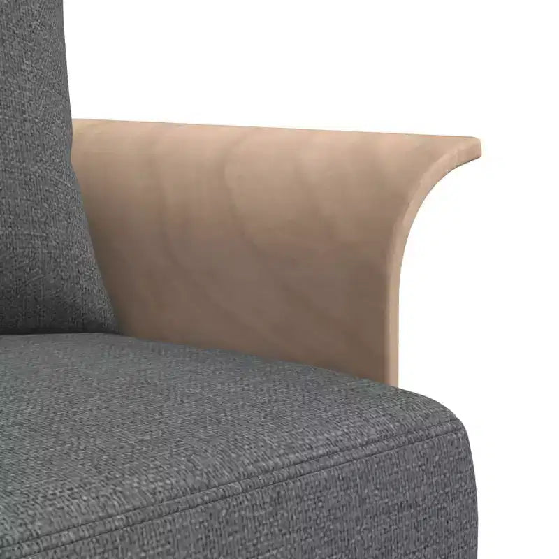 vidaXL Sofá cama Sofá convertible Sofá extraíble para sala de estar Tela
