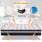 Colchón Queen Size, colchón de espuma viscoelástica de gel de 14 pulgadas para noches frescas y alivio de presión, sensación de felpa media con aislamiento de movimiento