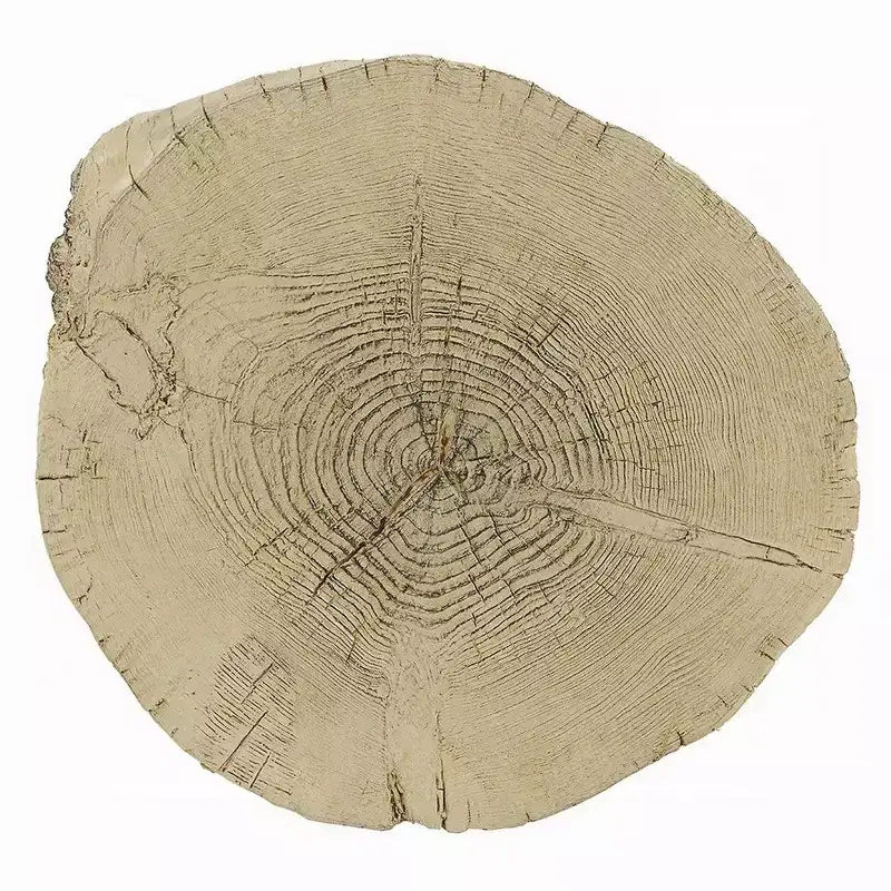 Mesa auxiliar, cemento marrón natural claro, forma de tronco, 35,5 cm