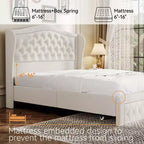 Dyonery Base de cama Queen Size, Cama de plataforma tapizada en terciopelo - Cabecero de 52.6" de alto con alas y mechones verticales, 2 cajones de almacenamiento, no requiere somier