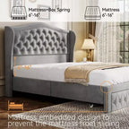 Dyonery Base de cama Queen Size, Cama de plataforma tapizada en terciopelo - Cabecero de 52.6" de alto con alas y mechones verticales, 2 cajones de almacenamiento, no requiere somier