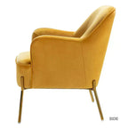 Juego de 2 sillones tapizados Odo Velvet Accent para sala de estar con asiento acolchado | Karat Home