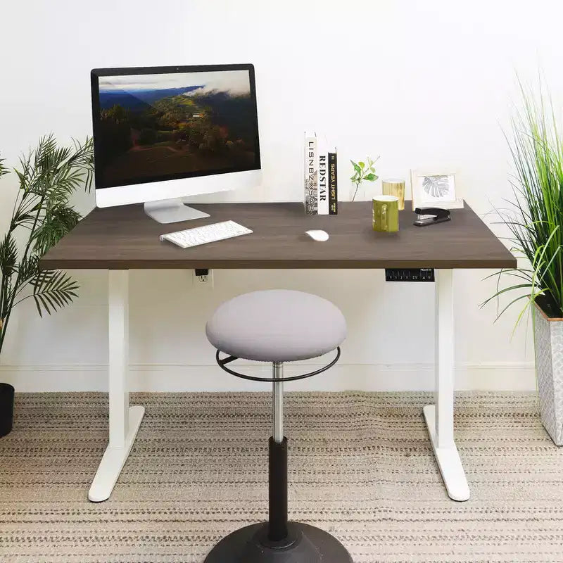 Mount-It! Escritorio Elevable Eléctrico con Doble Motor y Tablero de 55", Colores Adrift y Blanco