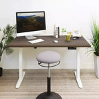 Mount-It! Escritorio Elevable Eléctrico con Doble Motor y Tablero de 55", Colores Adrift y Blanco