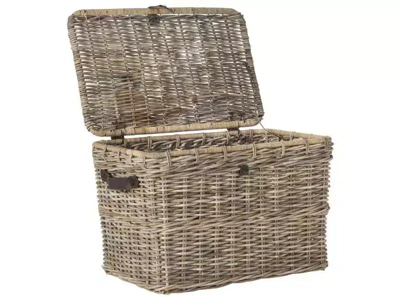 Amancio Trunk - SEA7021 - Gris - Safavieh